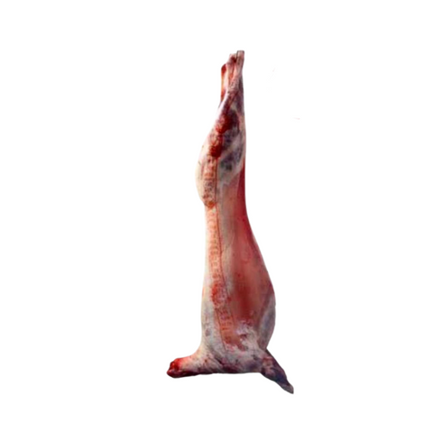 Whole Lamb